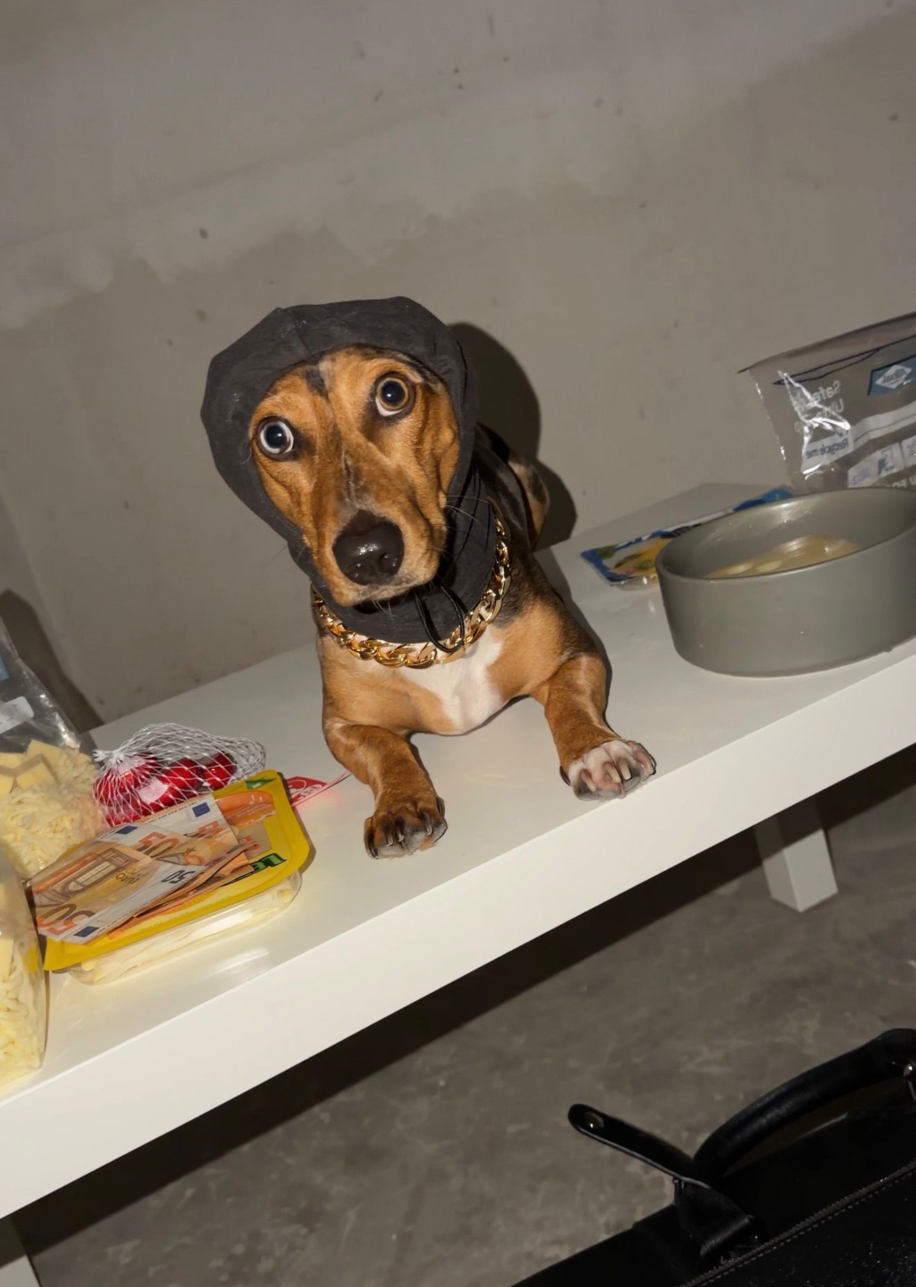 Tyson mit Kette